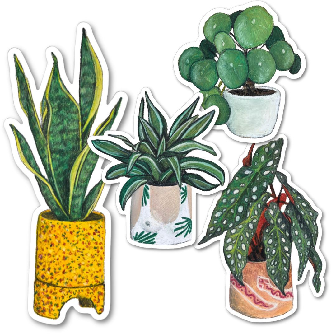 PLANTS STICKER PACK - SET 2