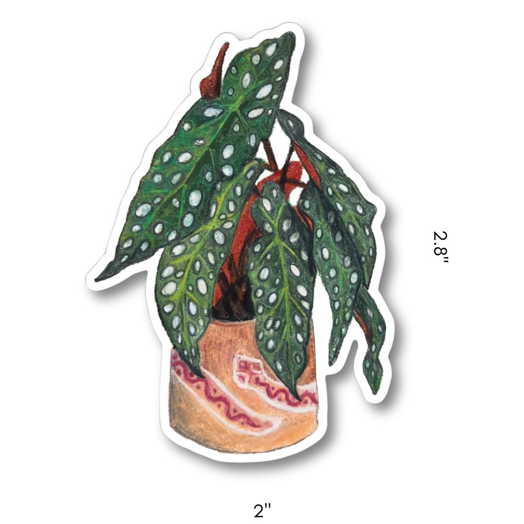 PLANTS STICKER PACK - SET 2