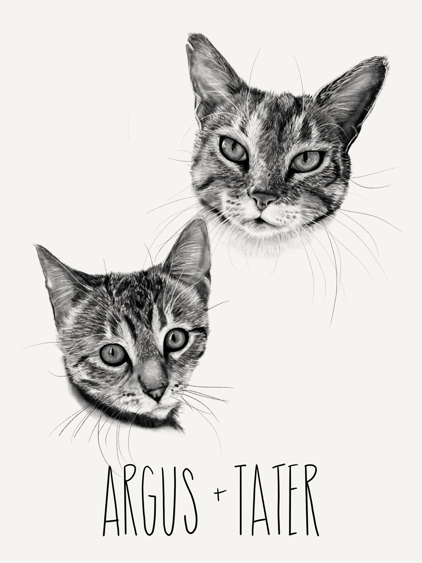 PET PORTRAIT - TWO PETS