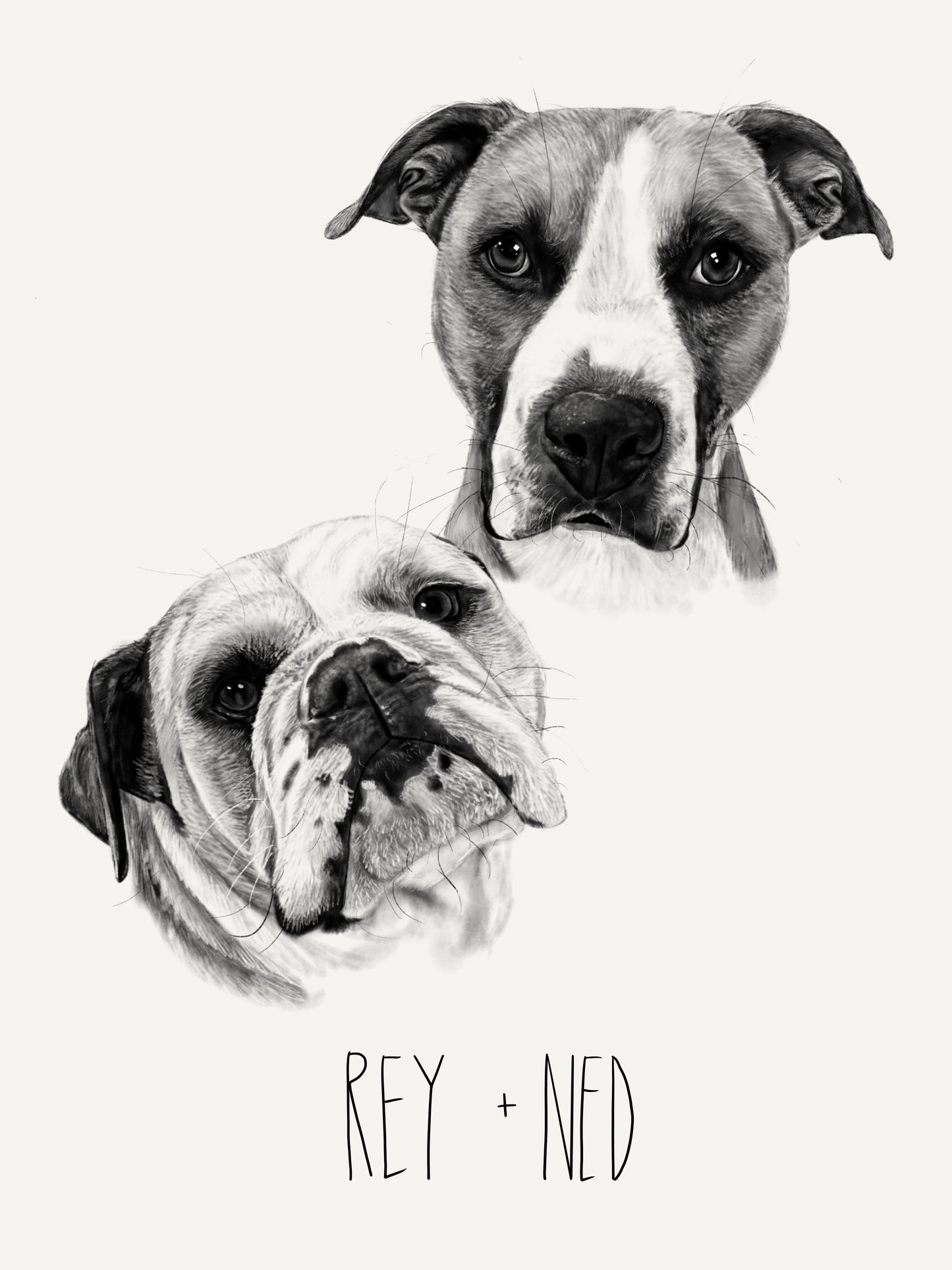 PET PORTRAIT - TWO PETS